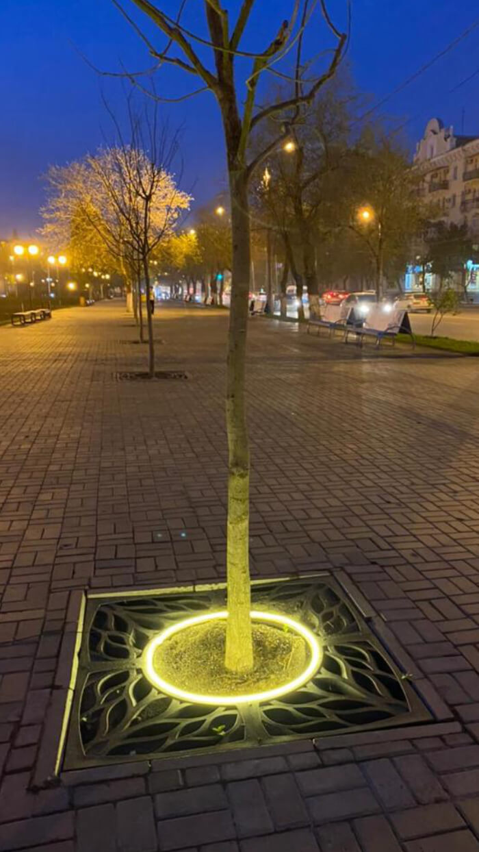 Приствольная решетка для дерева ZKING CRUST 1.2х1.2м Черная в Уссурийске фото